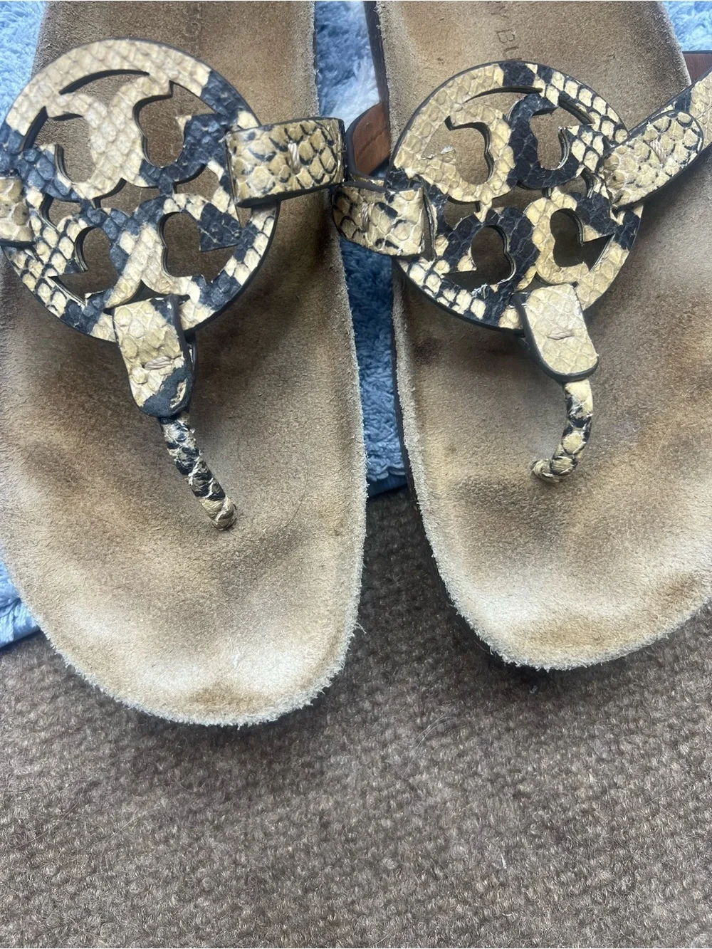 Tory Burch Snake Embossed Logo Thong Sandals in Tan and Gold - Picture 8 of 8
